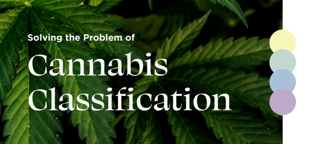 DYC: Solving the Problem of Cannabis Classification