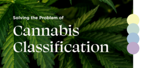 DYC: Solving the Problem of Cannabis Classification